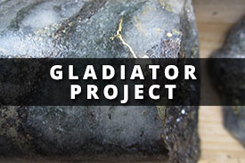 gladiator project home